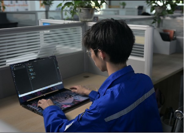 自主研发（软件）